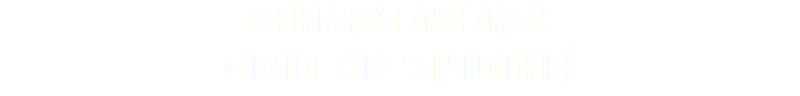 papírtáska emblémázás
(egytől négy szín colorig)